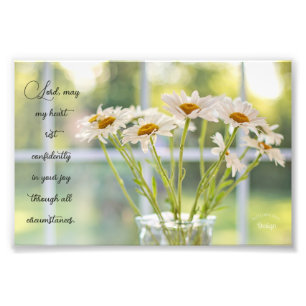 Elégant Daisy Photographie Joie Inspirationnelle