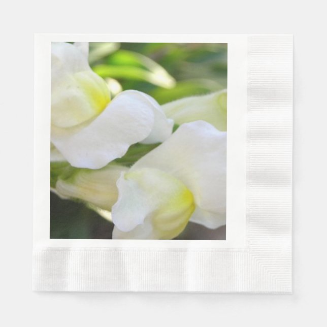 Élégant dans les serviettes en papier blanc (Devant)