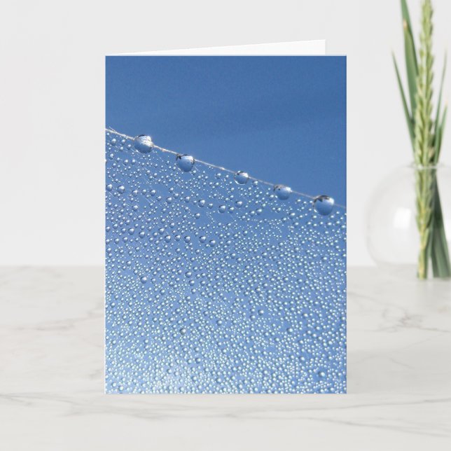 Elegant Dew Drop, Natur Meditation Poesie Karte (Vorderseite)