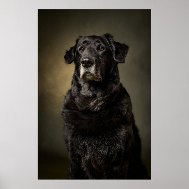 Elegant Dog Silhouette Poster (Vorne)