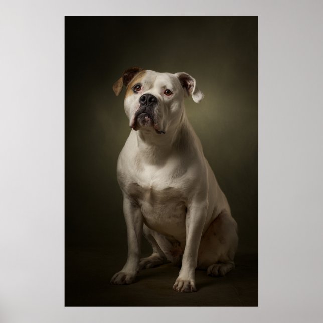 Elegant Dog Silhouette Poster (Vorne)