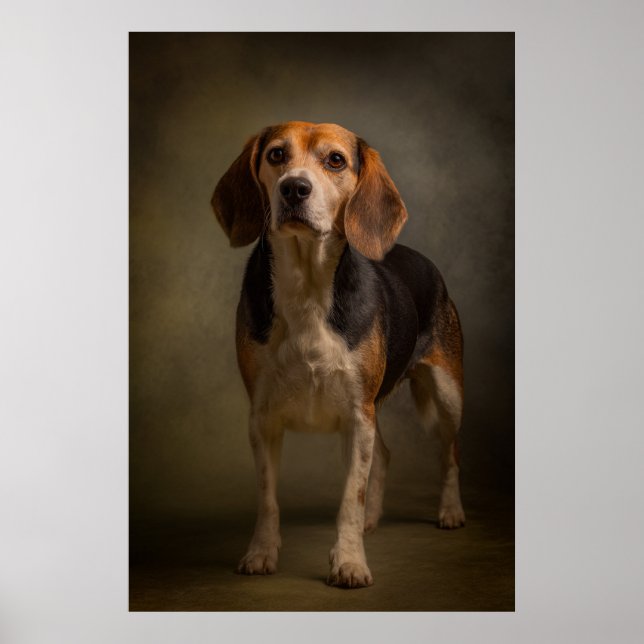 Elegant Dog Silhouette Poster (Vorne)