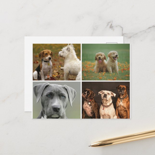 ELEGANT DOGS POSTCARD POSTKARTE (Vorderseite/Rückseite Beispiel)