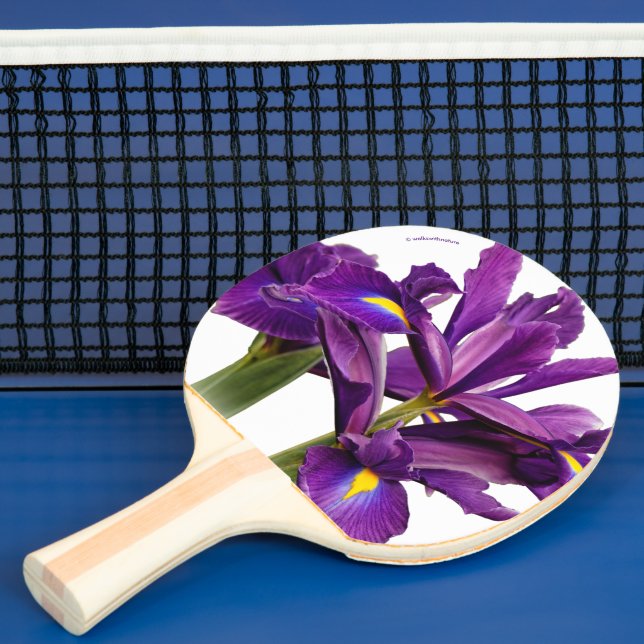 Elegant Dutch Iris Lila Sensation Blume Tischtennis Schläger (InSitu)