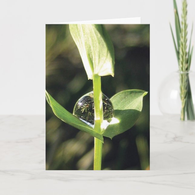 Elegant, einfach, eng mit Taubennatur Karte (Vorderseite)