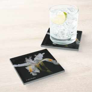Elegant Floral Crested Shaga Japanisch Iris Glasuntersetzer