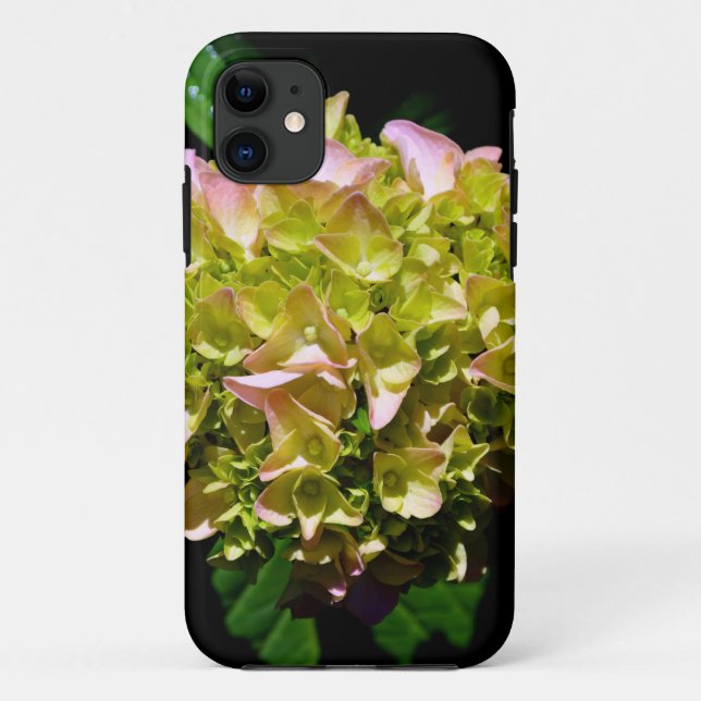 Elegant-gelb-rosa Hydrangea-Blume Case-Mate iPhone Hülle (Rückseite)