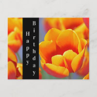 Elegant Gelb und Rot Tulip Happy Birthday