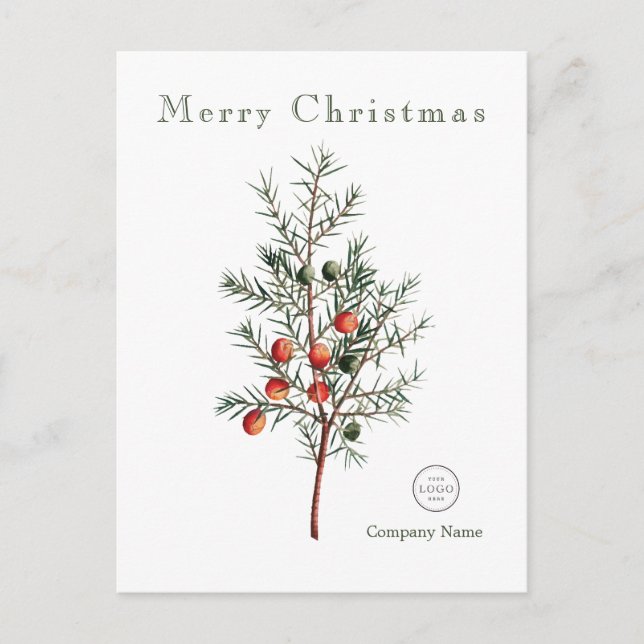 Elegant Grüne Weihnachtsberries Feiertagspostkarte (Vorderseite)