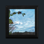 Elegant Holly Christmas, blauer Himmel Geschenkbox<br><div class="desc">Elegant Holly Christmas,  blue sky Foto von Sandy Closs xmas Christmas Holly,  Berries,  Holly Berry,  Holly Berries,  Elegant Christmas,  Christmas Flowers,  Christmas Floral,  Blue Green White</div>