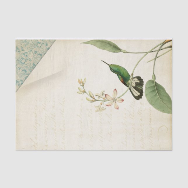 Elegant Hummingbird Ephemera Seidenpapier (Vorderseite)