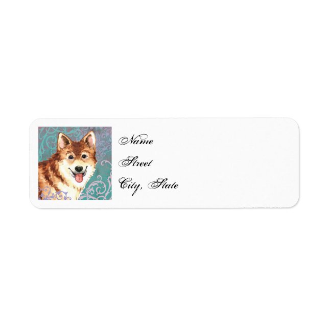Elegant Icelandic Sheepdog (Vorne)