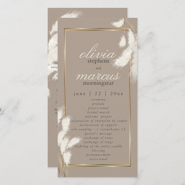 Elegant Ivory Pampas Grass Abby1 (Vorne/Hinten)