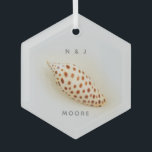 Elegant Junonia Beach Shell Ornament Aus Glas<br><div class="desc">Elegant Junonia Beach Shell Glass Ornament. This perfect Junonia beach shell is photographed with high resolution macro photography and is featured in the Junonia Beach Shell Collection. Personalize with your First Initials and Name or as desired. Junonia mollusks live in Coastal Ocean depths of over 100 feet, so Beach Combers...</div>
