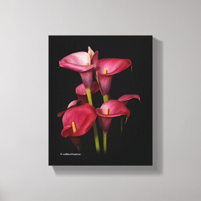 Elegant Lila Calla Lilies Leinwanddruck (Vorderseite)