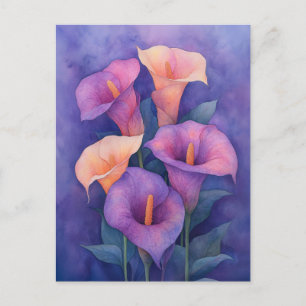 Elegant Lila Calla Lilies Postkarte