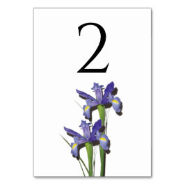 Elegant Lila Iris Wedding Tischnummer