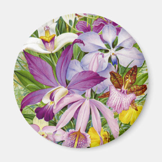 Élégant Magnet d'orchidées Vintages/anciennes