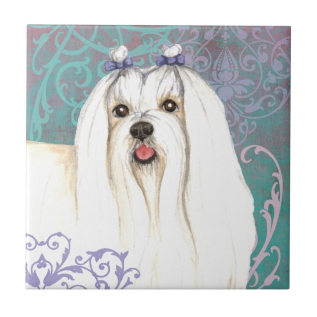 Elegant Maltese Fliese (Vorderseite)