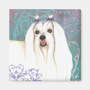 Elegant Maltese Magnet