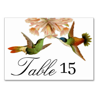 Élégant Mariage Colibri Numéro de table