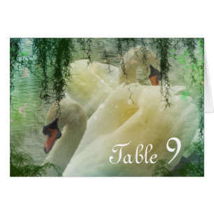 élégant mariage de cygne blanc du lac d'été