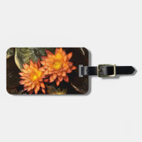 Elegant Orange Water Lilies