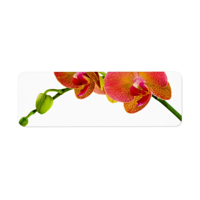 Elégant Orchidées Orange Étiquettes Blank personna (Devant)