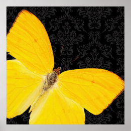 Elégant Papillon jaune Noir Damas Poster