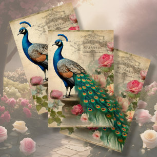 Elegant Peacock Birdcage Floral Ephemera Decoupage Seidenpapier