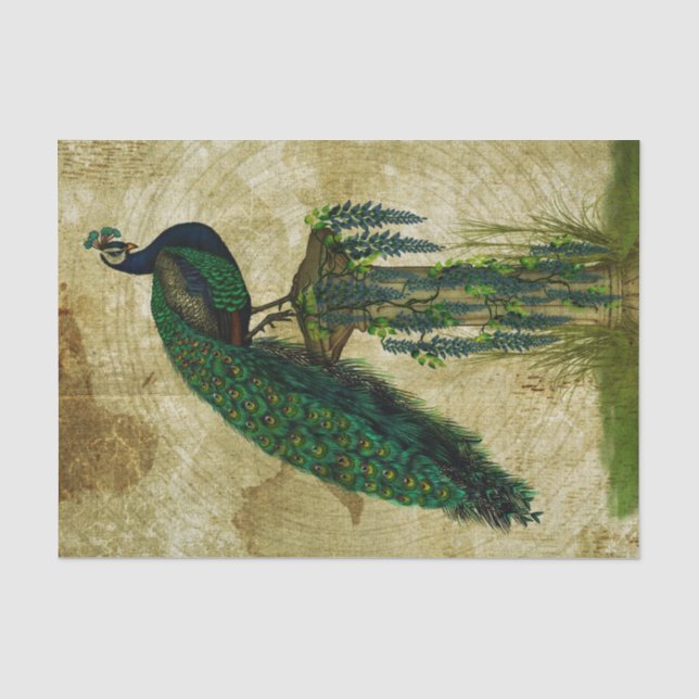 Elegant Peacock Seidenpapier (Vorderseite)