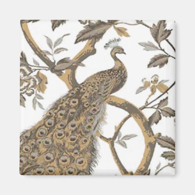 Elégant Peacock Sur Aimant Blanc (Devant)