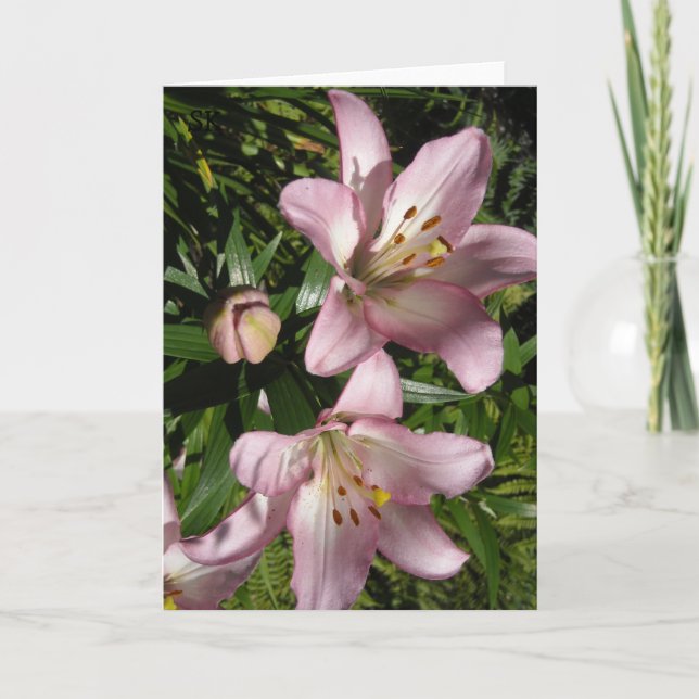 Elegant Pink Tiger Lilies Karte (Vorderseite)