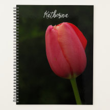 Élégant Pink Tulip Script photo personnalisé