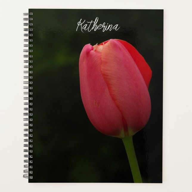 Élégant Pink Tulip Script photo personnalisé (Devant)
