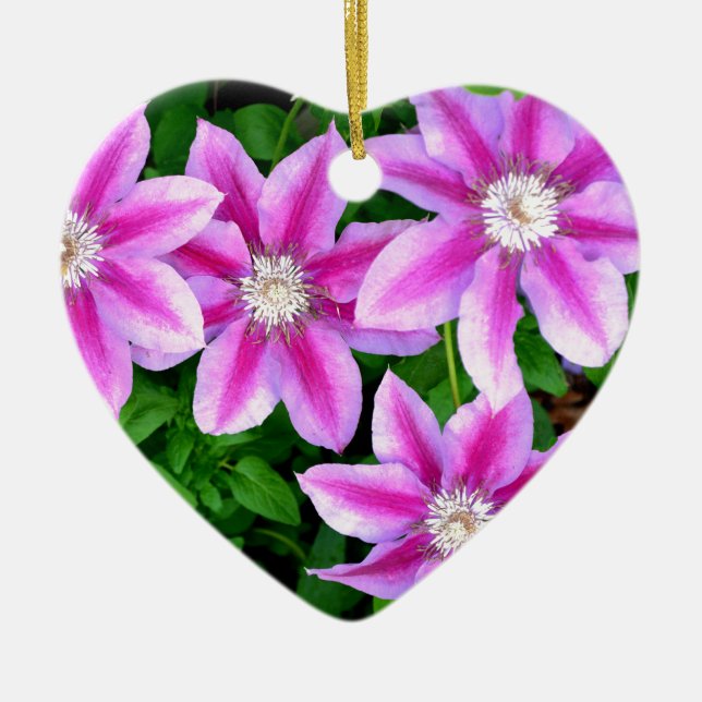 Elegant pinkfarben grün, botanisch keramik ornament (Vorne)