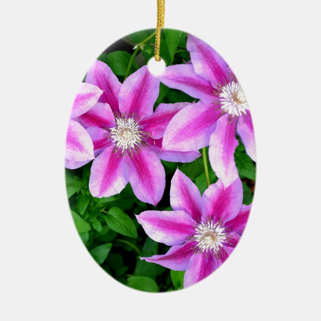 Elegant pinkfarben grün, botanisch keramik ornament (Vorne)