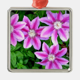 Elegant pinkfarben grün, botanisch silbernes ornament