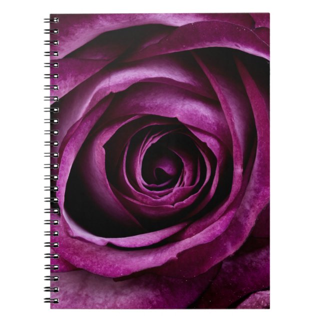 Elegant Purple Rose Close Up Notizblock (Vorderseite)