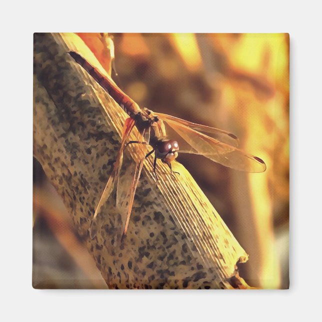 Elegant Red Darter Dragonfly Insect Art Magnet (Vorne)