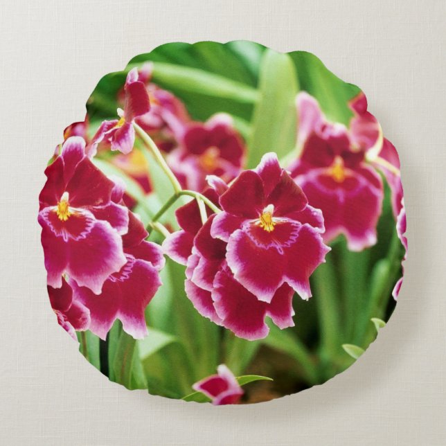 Elegant Red Orchid Rundes Kissen (Vorderseite)