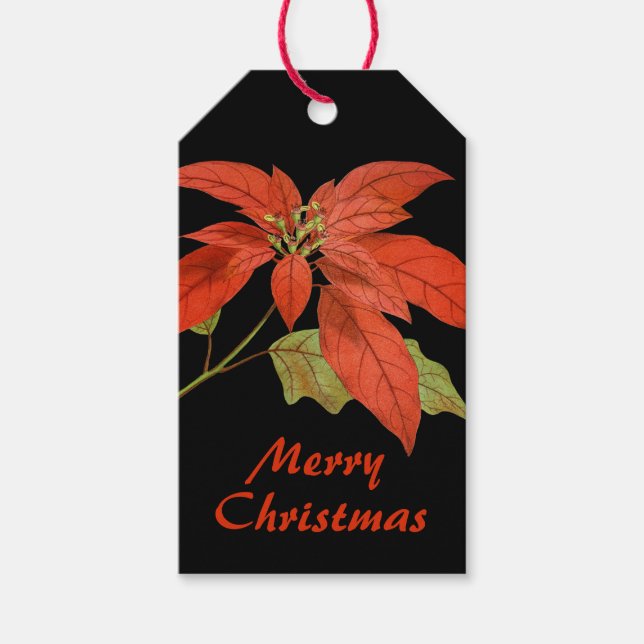 Elegant Red Poinsettia auf Black Geschenkanhänger (Vorderseite)