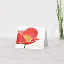 Elegant Red Poppy Floral Spring Flowers Danke