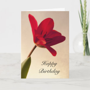 Elegant Red Tulip Birthday Karte