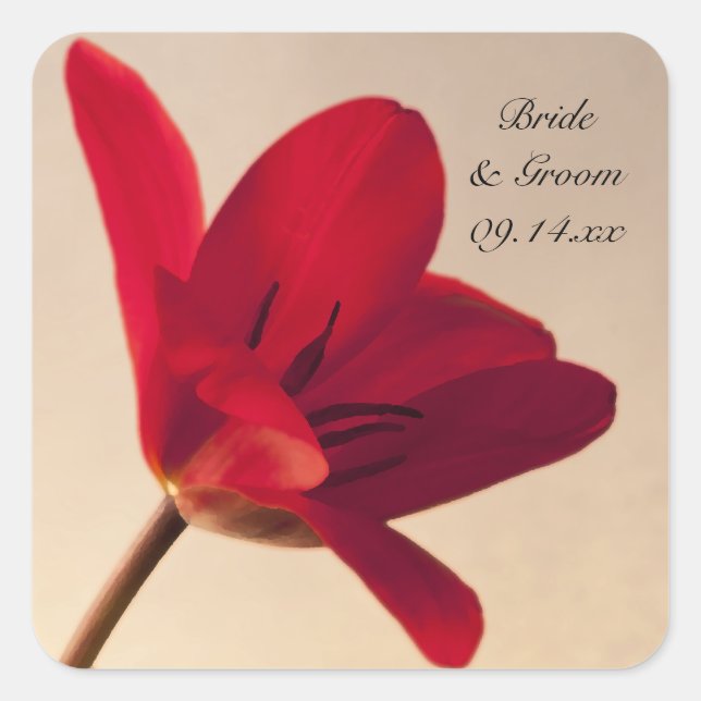Elegant Red Tulip Wedding Umschlag Aufklebers Quadratischer Aufkleber (Vorderseite)