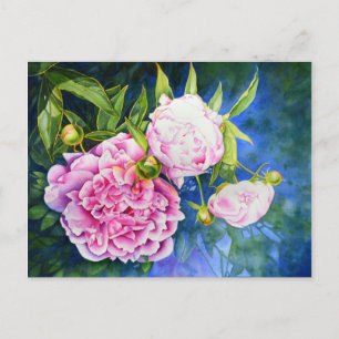 Elegant rosa, klassische Aquarellblüte Postkarte