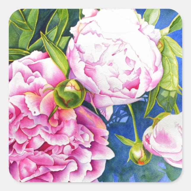 Elegant rosa, klassische Aquarellblüte Quadratischer Aufkleber (Vorderseite)