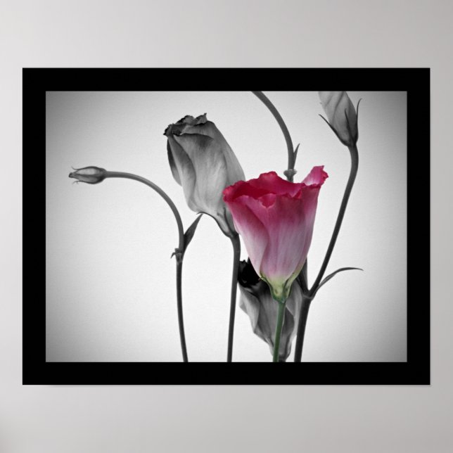 Elegant Rosa Rose Poster (Vorne)
