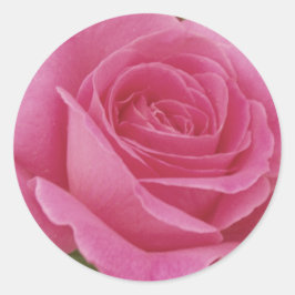 Elegant Rosa Rose Runder Aufkleber