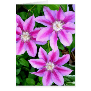 Élégant rose floral vert botanique